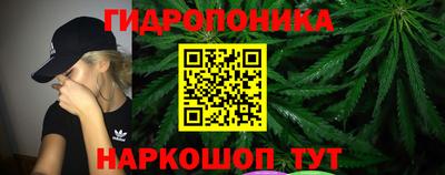 марихуана Кингисепп